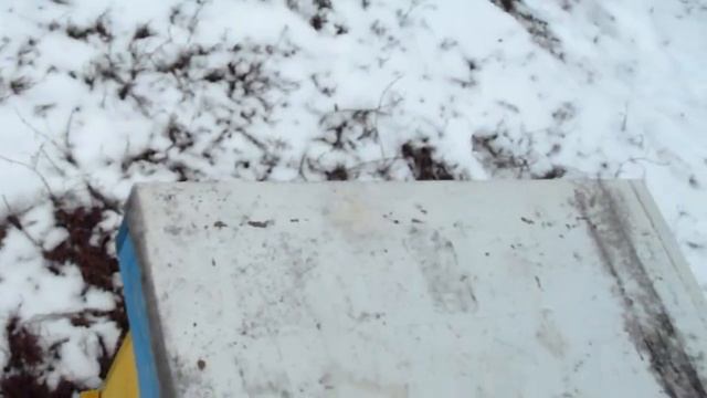 Зимовка пчел в нуках и ульях 28.12.2018. смотреть онлайн