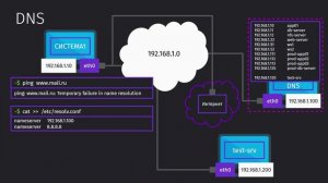 55 Domain Name System