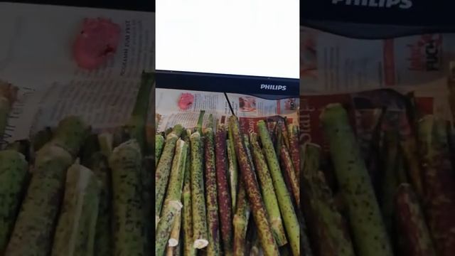 Приготовление и приём внутрь водного и медового настоя болиголова пятнистого