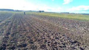 Рожь сеем на зиму.Часть✓2