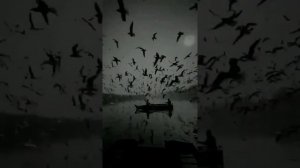 Idris & Leos Дурная привычка