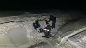 Ларвен очень полезен в хозяйстве)))