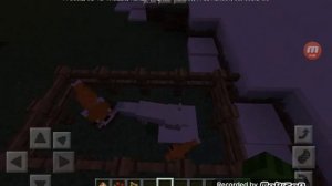 Виды лис в майнкрафте!!! ?