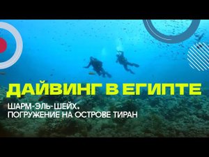Дайвинг в Египте 2024. Шарм-Эль-Шейх, остров Тиран.
