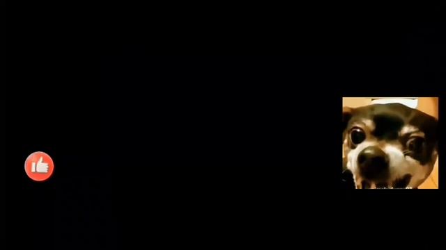 Promise Putok Ang Nguso??Mo Katatawa Pag Sila Napanuod Mo..Toktik React Funny Video смотреть онлайн