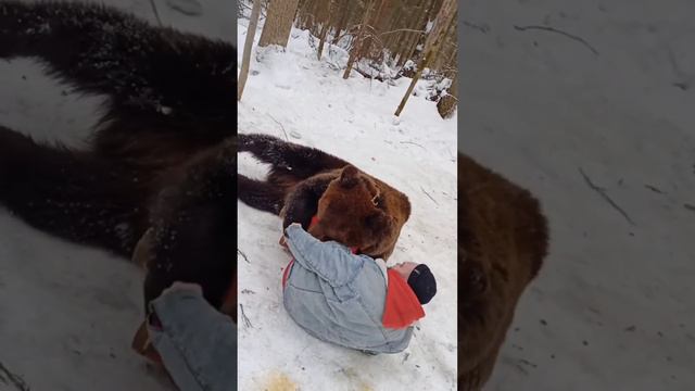 ЗИМНИЕ ЗАБАВЫ. В ОБЬЯТЬЯХ МЕДВЕДЯ!!! смотреть онлайн