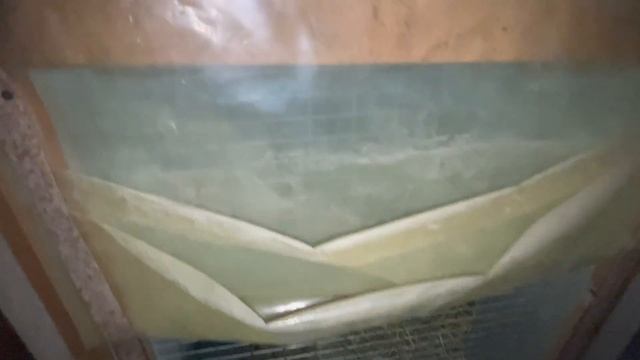 Приучаем курицу молодку нестись в гнёзда \\Урожай Арахиса\\Посеяли Пшеницу для кур смотреть онлайн