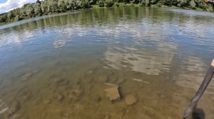 СУДАК НА СПИННИНГ!!! Ловля хищника на джиг!!! Донки и фидер ловят белую рыбу!!! Рыбалка на реке!!!