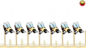 The Life Cycle of a Honey Bee | The First 21 Days of Honey Bee's Life