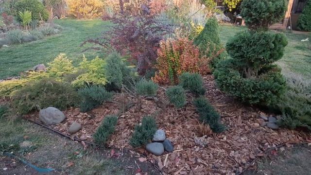 Моя любимая дача в начале октября смотреть онлайн