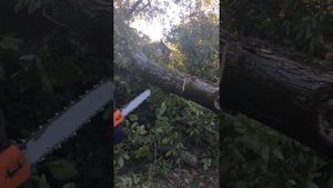 Drujba husqvarna 365 Xp