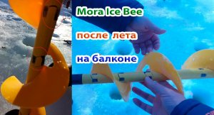 Шнек Mora Ice Bee после лета хранения на балконе. Что с ним стало...