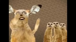 💝👍смишно