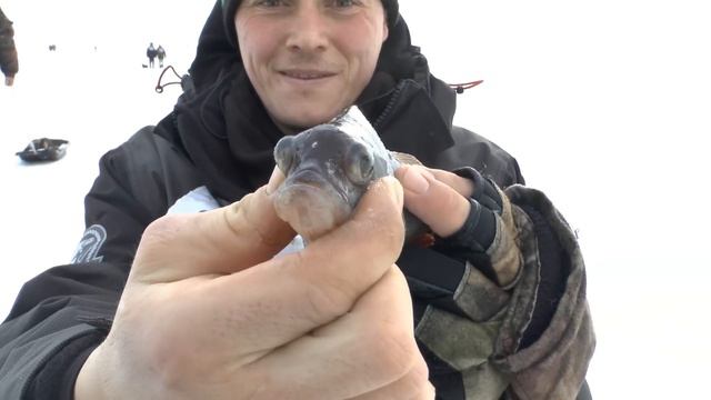 Январский балансир 2017 смотреть онлайн