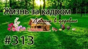 #313 ЖИЗНЬ ЗА КАДРОМ ! Тихая охота)))