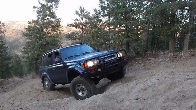 Land Cruiser FZJ80 OM606 Turbodiesel - GTA2359VK VNT
