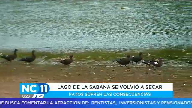 Lago de La Sabana está se volvió a secar смотреть онлайн