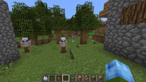 Custom Villager Models With a Resource Pack!