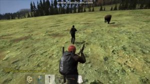 DayZ Stendalon Защита животных