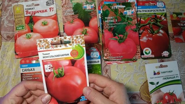Сажаю томаты для открытого грунта // Схемы формирования детерминантных сортов