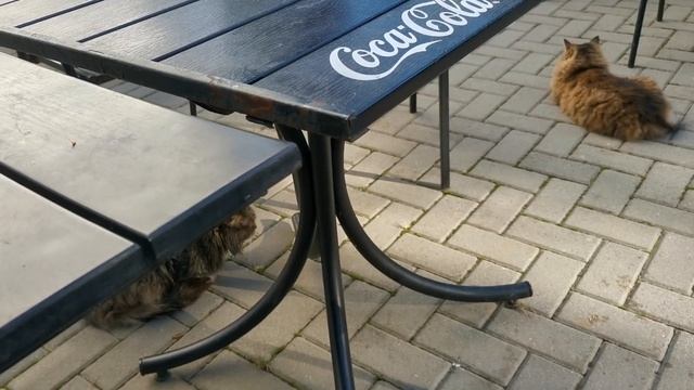 День 7. Сочи. Спа отель Автомобилист. День. смотреть онлайн