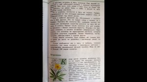 Читаем детям ЗЕЛЁНЫЕ СТРАНИЦЫ. А.А.Плешаков. Страница вторая. ТОРОПЛИВАЯ ХОХЛАТКА.