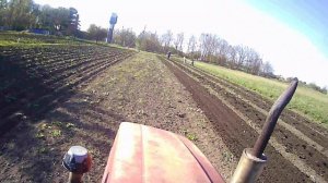 КАК САЖАТЬ ТЫКВУ, особая технология.