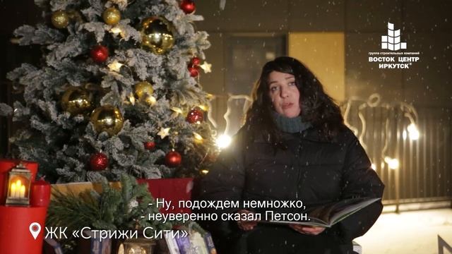 Рождественские чтения. История про Петсона и Финдуса.
