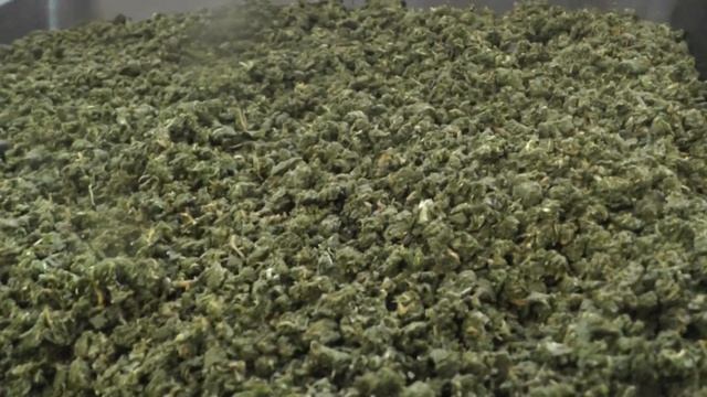 Приготовление черного чая из травы Иван чай! смотреть онлайн