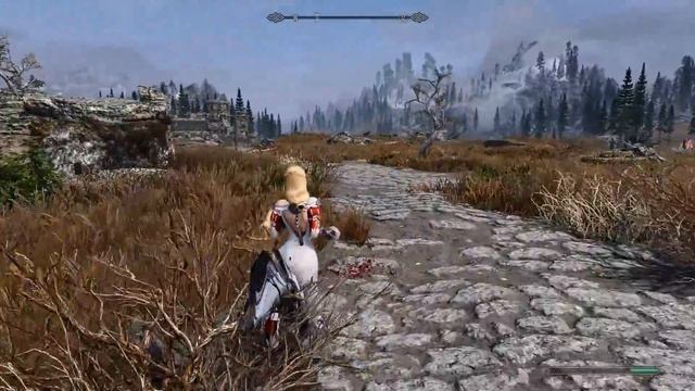 Skyrim se HDT physics test смотреть онлайн