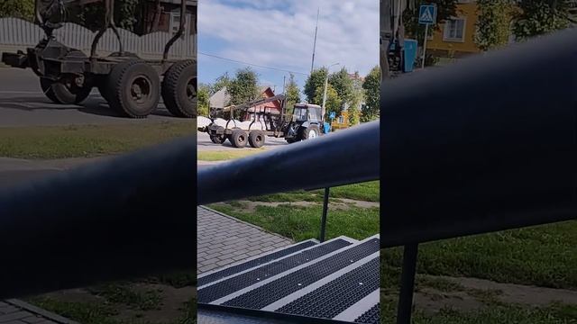 Беларусь ?? Вайлдберриз/) первый раз заказываем .....