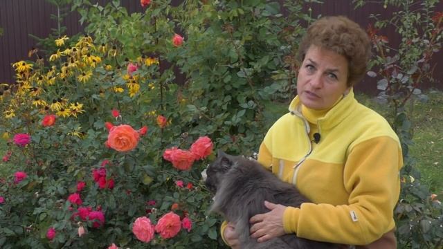 Сад непрерывного цветения сентябрь-октябрь смотреть онлайн