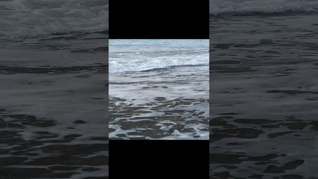 #морезовет#лазаревская2023#осеньвсочи