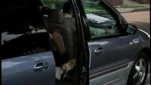 Где моя тачка, чувак