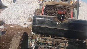 Юмз грейфир