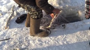 Как дядя Толя с тетей Верой удили рыбку How Uncle Tolya and Aunt Vera went fishing