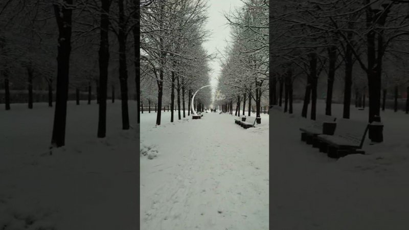 Цветной бульвар в Москве. Последний день в Москве.