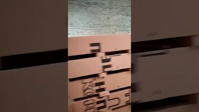 Перепела Фараон, Техасский белый. какая порода лучше?