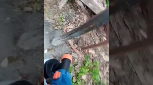 Краскопульт dexter декстер #dexter #краскопультдекстер #обзоркраскопульта #электрическийкраскопульт