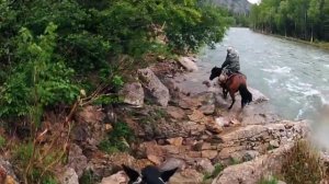 Высокогорные пасеки на Алтае