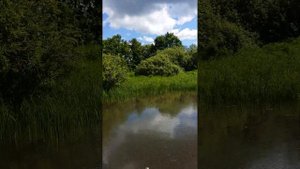 Лодочный мотор болотоход тофалар 6,5 л.с