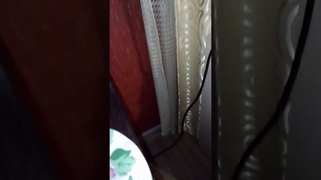 Мои любимые травянчики экоживчики. Как правильно ухаживать за экоживчиком. смотреть онлайн