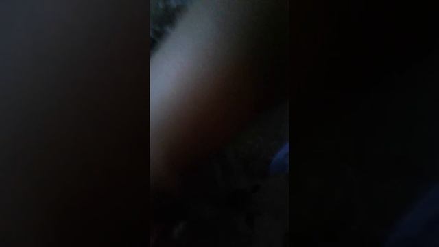 Маленькие котята 1 месяц им смотреть онлайн