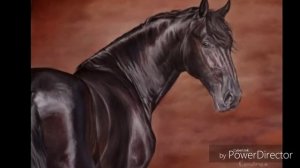 Картины с лошадьми