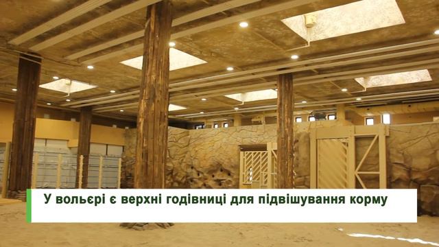 У Харківському зоопарку слони відзначають новосілля смотреть онлайн
