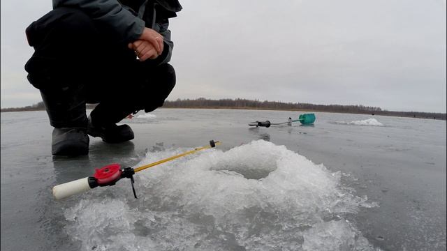 Поиск новых рыболовных мест. Ловля ротана. Никитское озеро (Нижний Новгород)