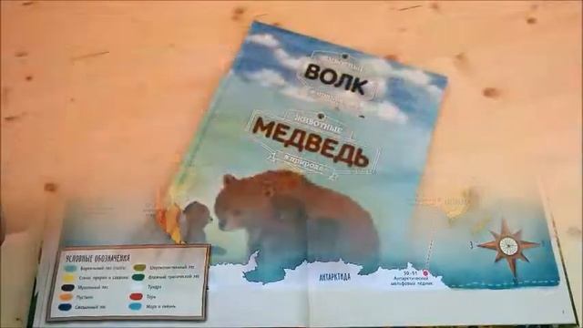 Красивейшие книги о животных. Книги для детей смотреть онлайн