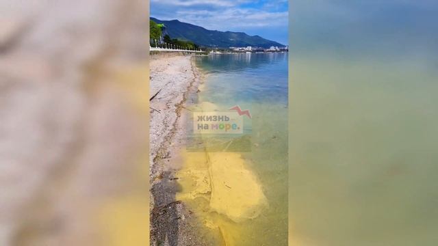 ШОК! ЧТО СТАЛО С МОРЕМ В ГЕЛЕНДЖИКЕ И НОВОРОССИЙСКЕ!