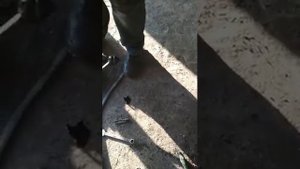 Mercedez Benz W124 M102 2 0 заклинил двигатель выяснения причины