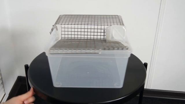 ТД ВЕТ Клетка для лабораторных мышей, полипропилен 370х260х140h смотреть онлайн